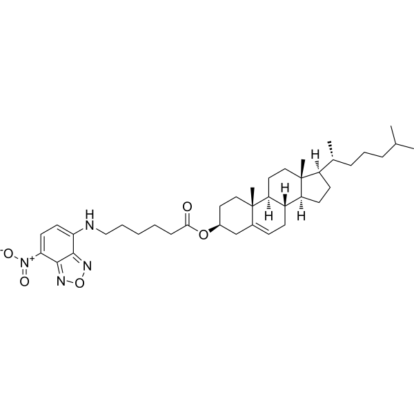 3-C6-NBD-cholesterol 201731-19-3